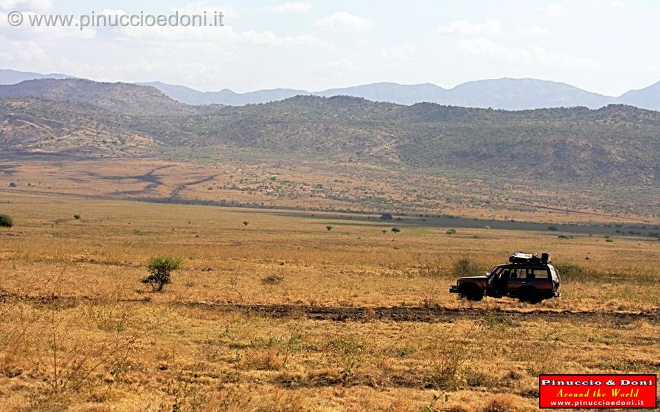 Ethiopia - Netch Sar Park - 65 - Nechisar.jpg